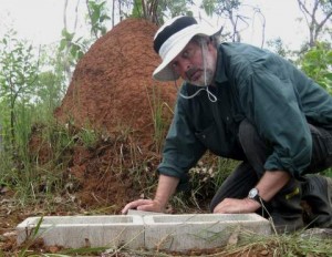 Don installing a Coptotermes test Queensland