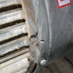 Mouse remains in a bakery's electric motor