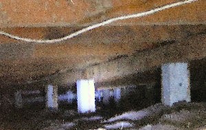Concrete stumpls supporting a floor